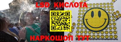 Альфа ПВП Ярославль