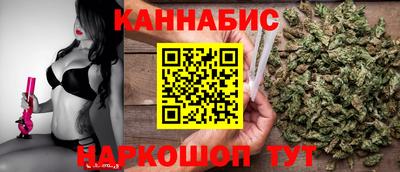 Альфа ПВП Ярославль