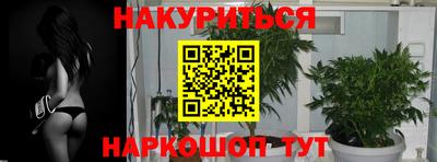 Альфа ПВП Ярославль