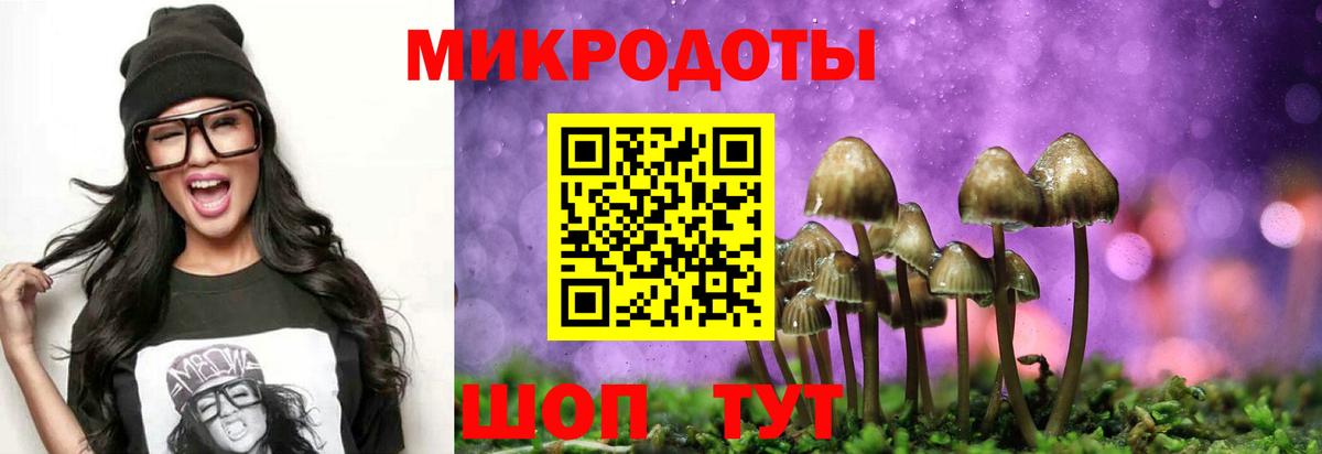 Псилоцибиновые грибы Cubensis Новошахтинск